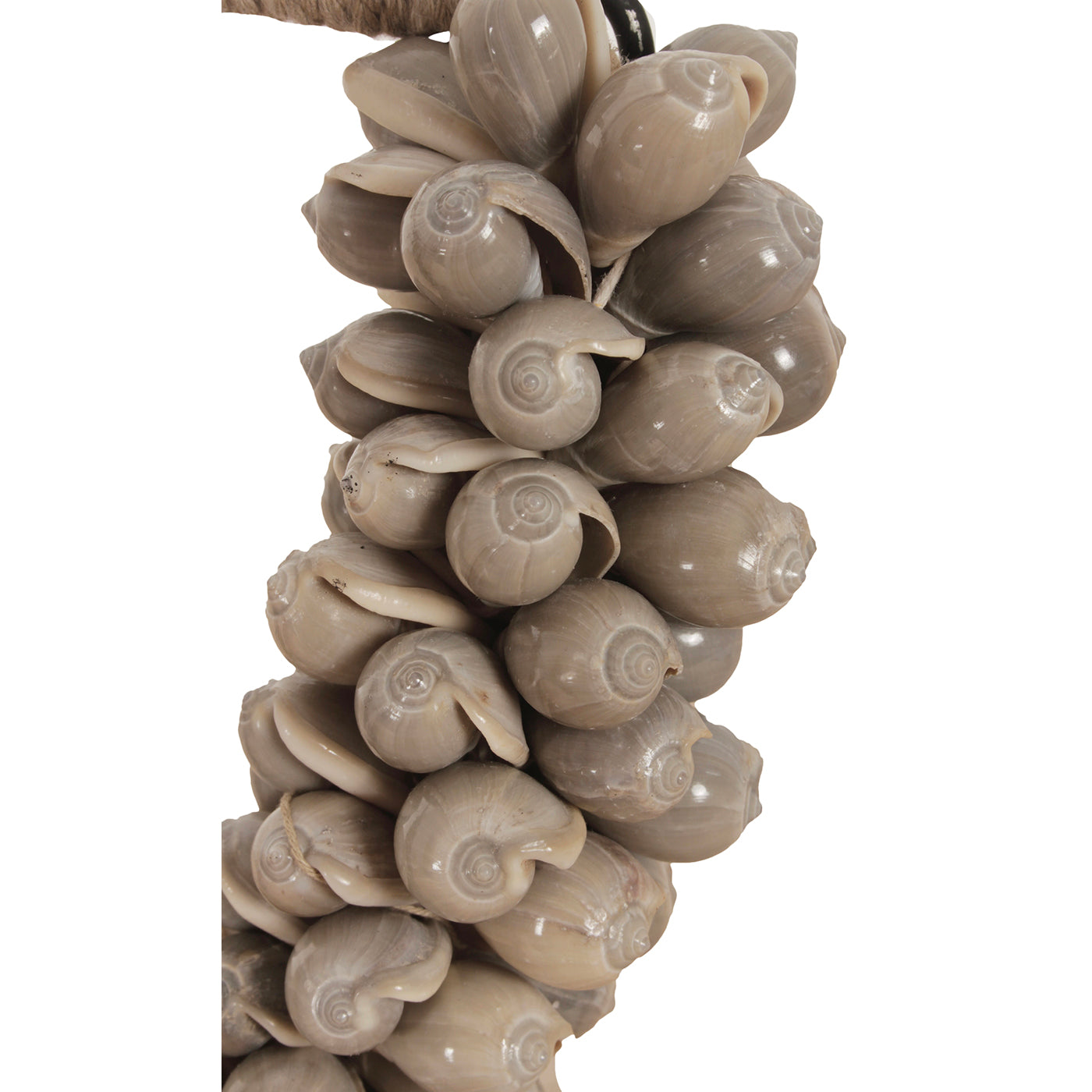 J66 Kleine Schelpenketting Op Standaard