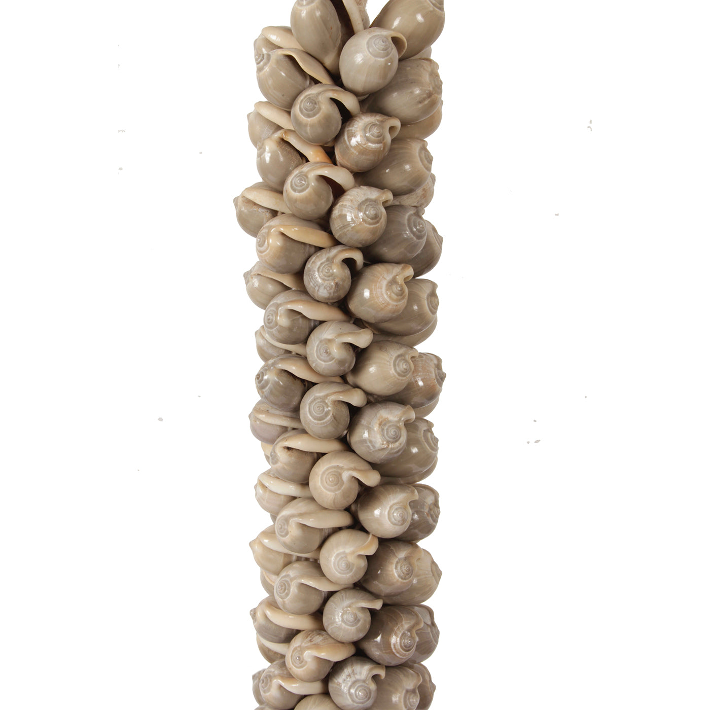 J78 Schelpenketting Op Standaard