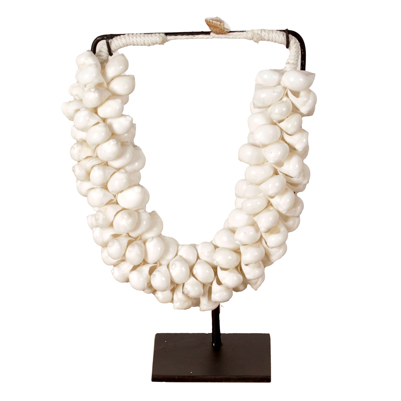 J65 Kleine Schelpenketting Op Standaard