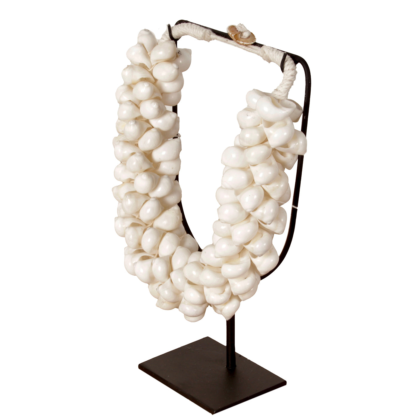 J65 Kleine Schelpenketting Op Standaard