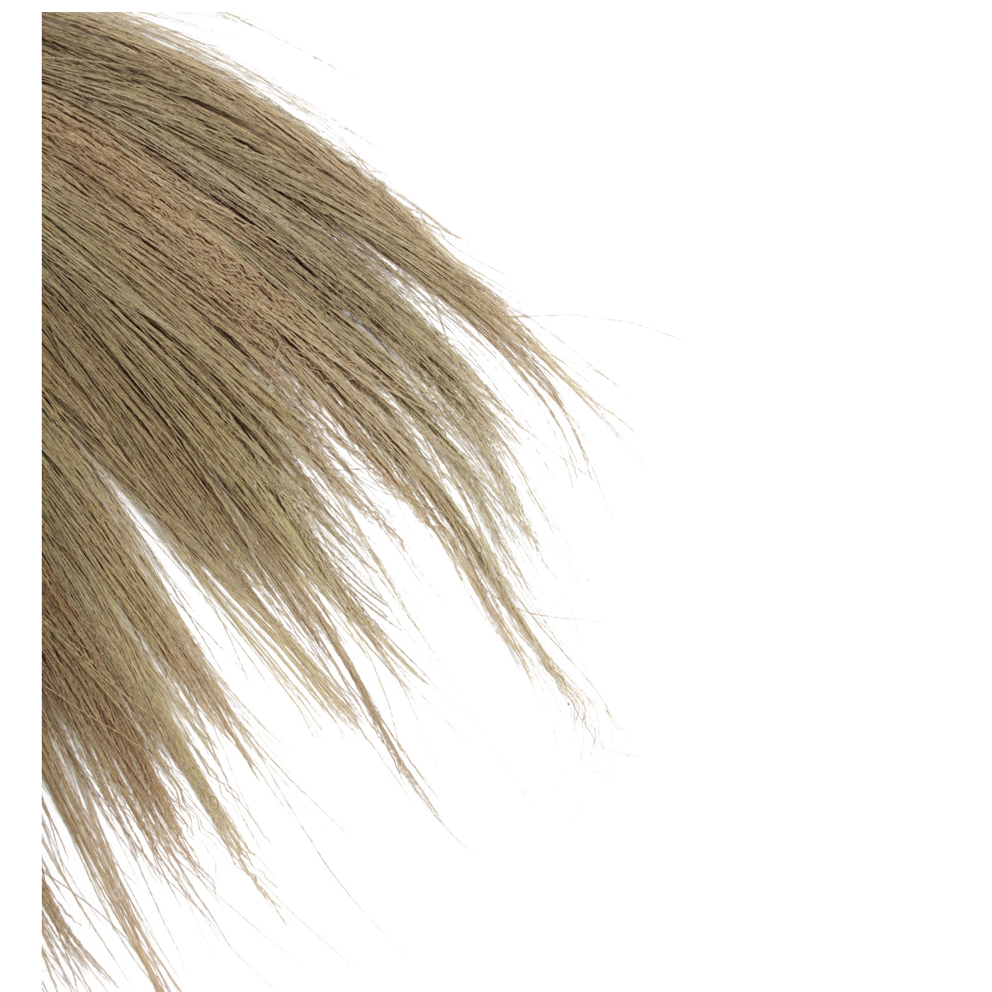 J29 Hooi Wanddecoratie