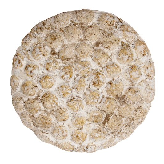 Keramische Wanddecoratie Stippen