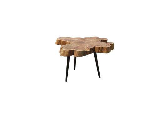 Salontafel Refined Akar